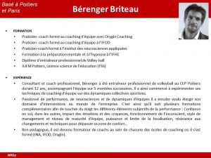 CV Berenger Briteau